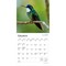 Hummingbirds | 2026 7 x 14 Inch (Hanging) Monthly Mini Wall Calendar